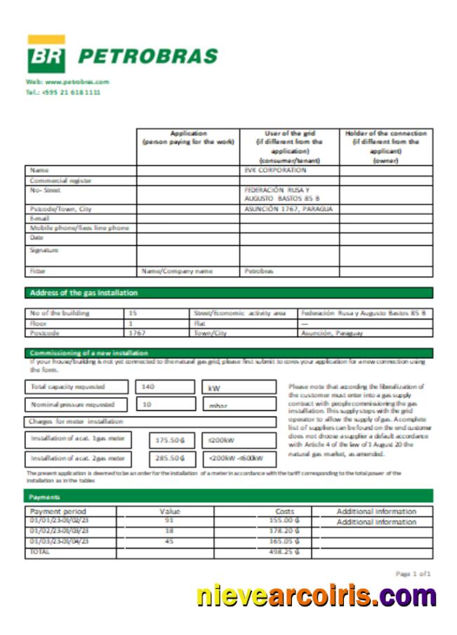 Petrobras Paraguay Operations and Logistics gas company utility business bill